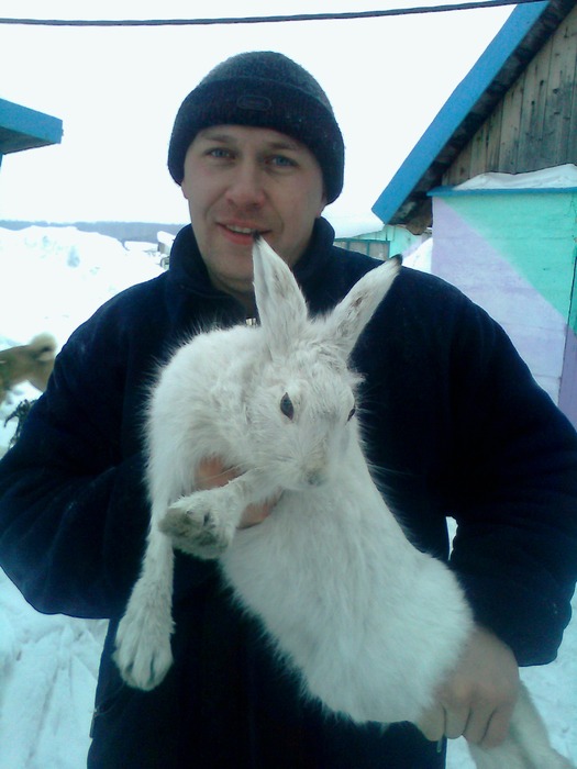 без единого выстрела