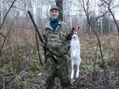 после того как перекусили