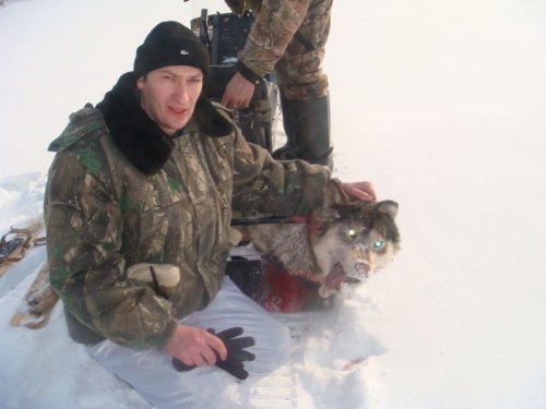 Добегался