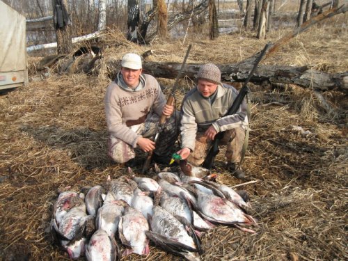 Утренняя зорька 17.04.2010 Алтайский край...