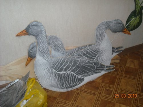 НЕ СЛИШКОМ СВЕТЛЫЕ