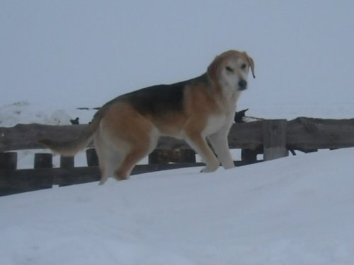 АККОРД ПОДРОС