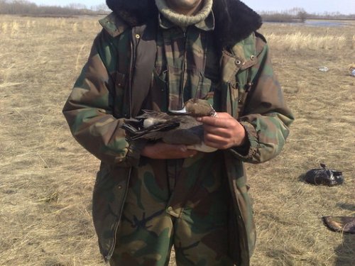 просто шилик