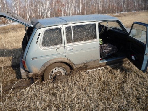 Обманчиво весеннее поле
