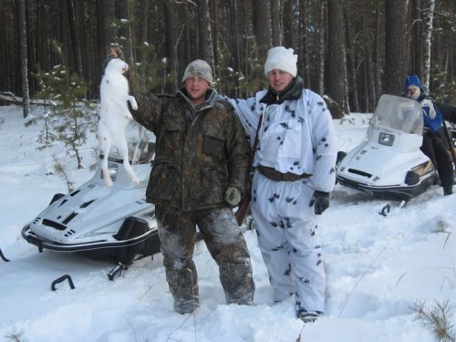 В загонке