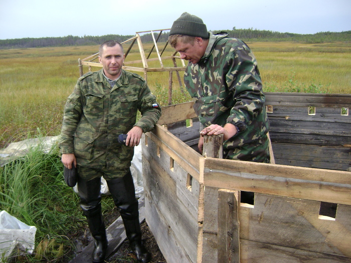 Строительство скрадка
