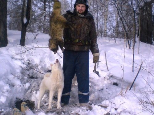 И чего ему не спалось....