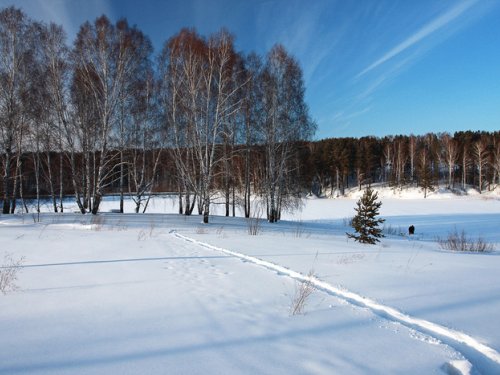 Тропа