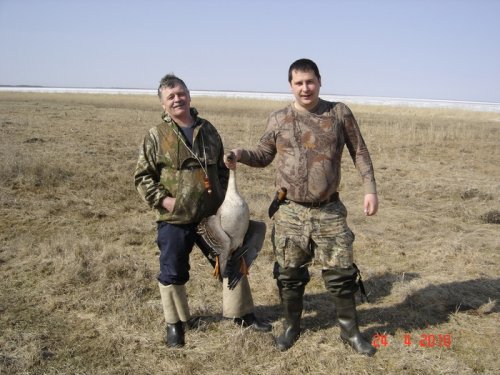 Первый в жизни гусь