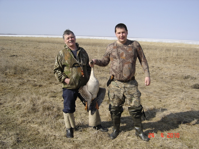 Первый в жизни гусь