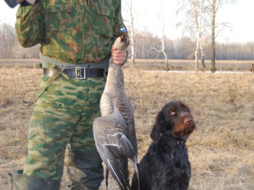 Весенняя 2010