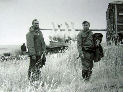 трофеи