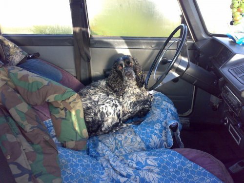 В болото не полезу