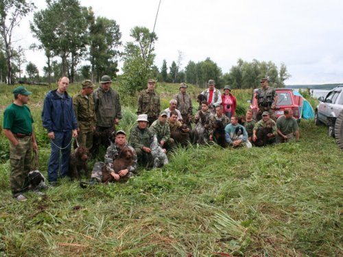 Состязания легавых 2008 г.