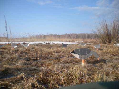 профиля