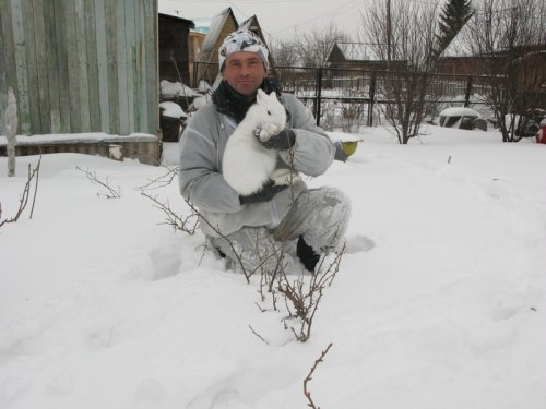 как живой
