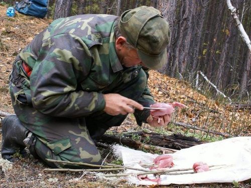 Рябчиков начиняю салом.
