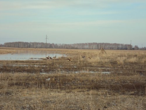 самоделка
