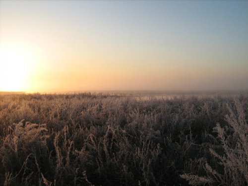 Морозное утро. В ожидании, Весна 2010!