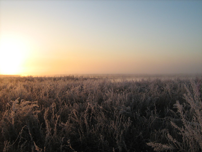 Морозное утро. В ожидании, Весна 2010!