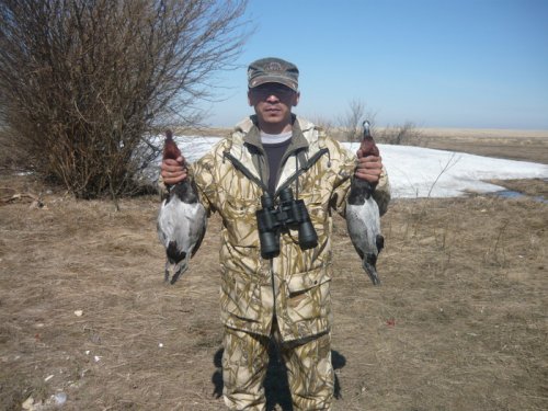 весна 2010
