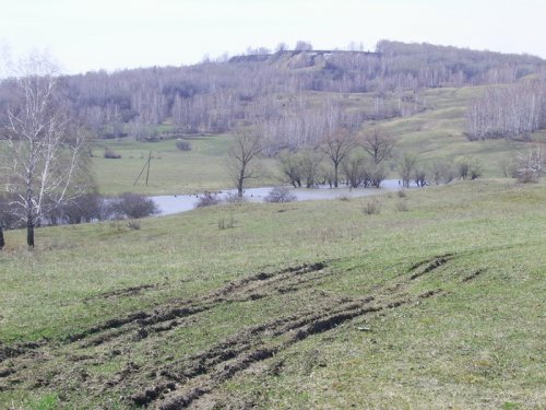 пару дней как зазеленело