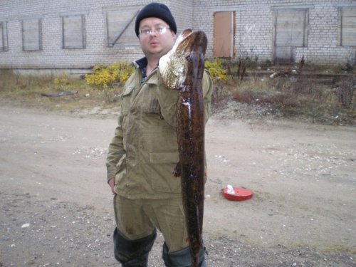 осень 2009 ...12800 ...