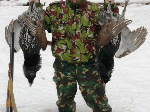 altai с глухарями