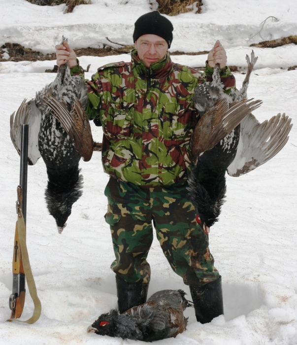 altai с глухарями