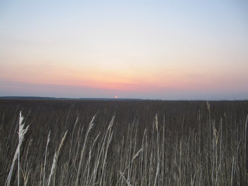"Дай-ко я разок посмотрю, где рождает поле зарю"(с)