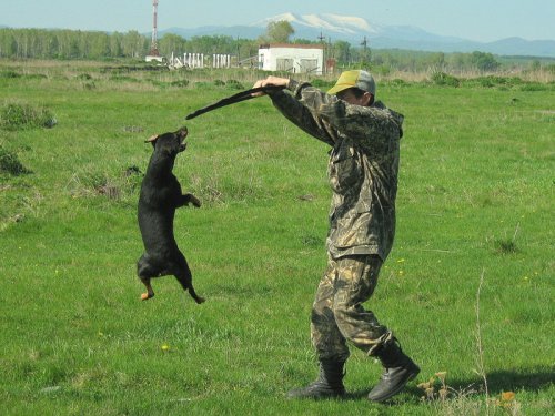 Разминка.
