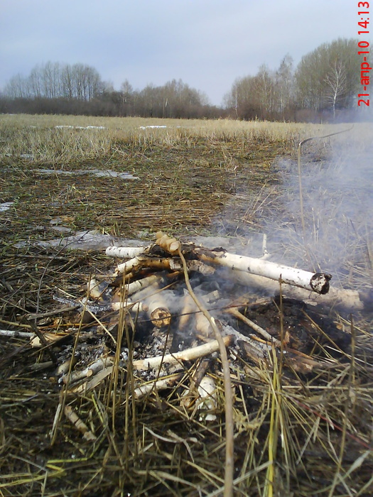 Первая вылазка на природу после зимы