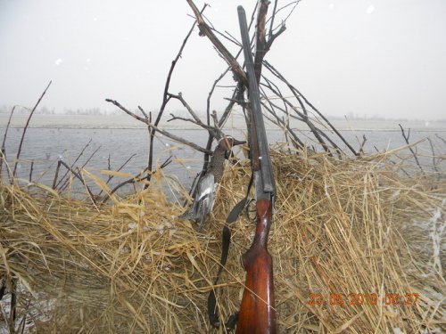 Вот такое закрытие.