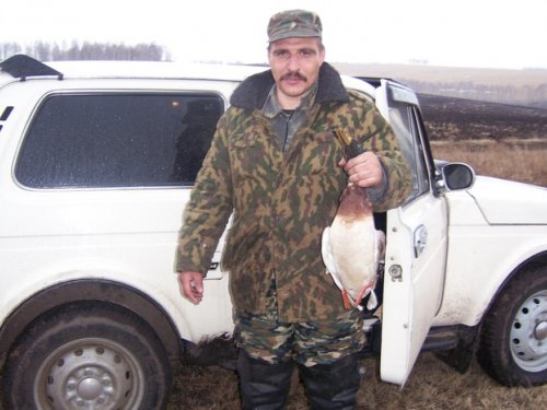 добыт