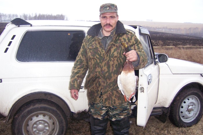 добыт