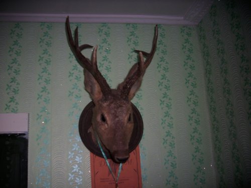 Медалист