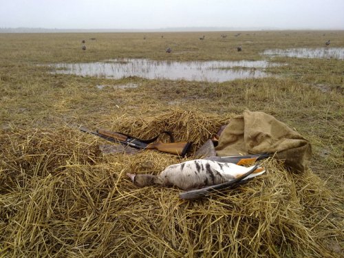 Хоть и 3 выстрелом, но взял-таки его!!!