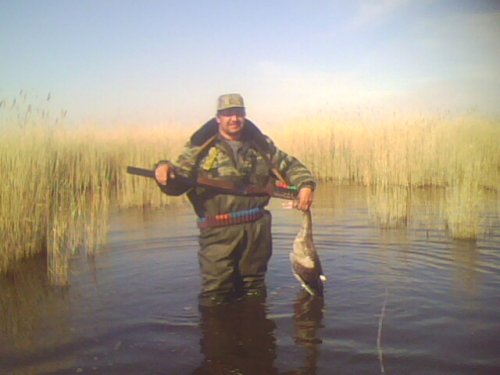 весна 2010