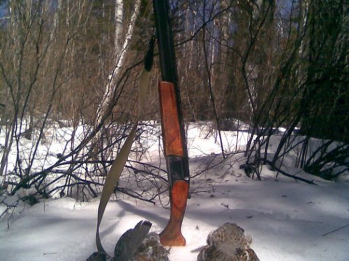 Рябушки.