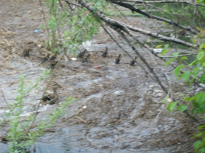 ПОКОЛЕНИЕ 2010
