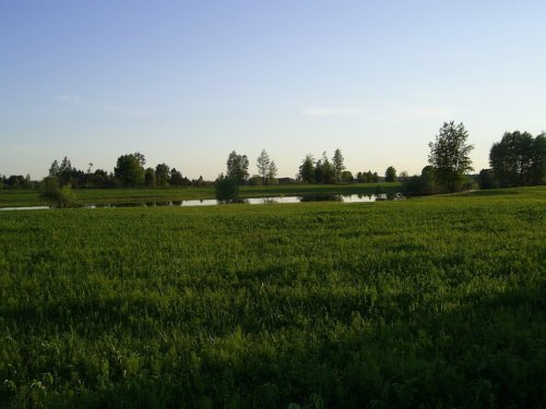 курья
