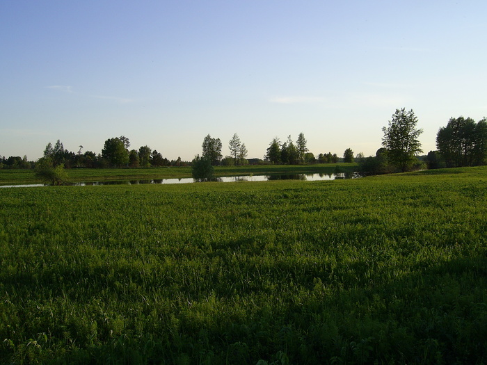курья