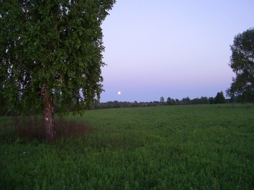 сумерки