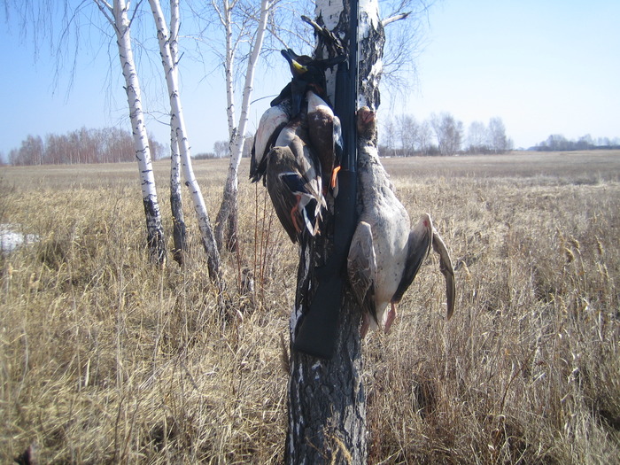 Весна 2010