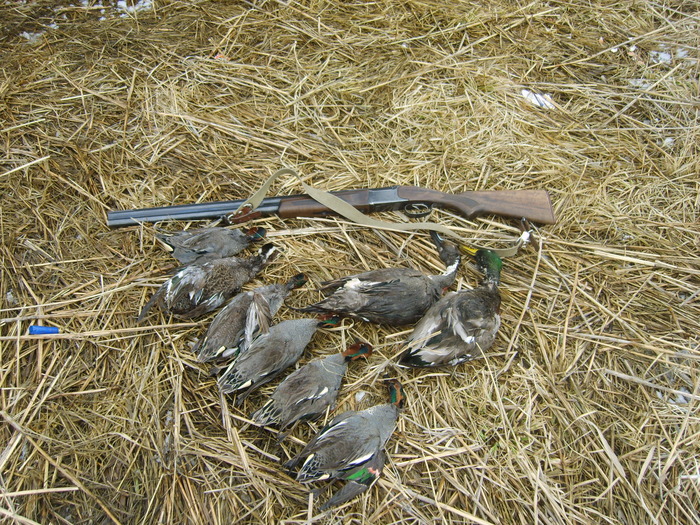 ВЕСНА 2010г.