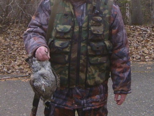 рябчик