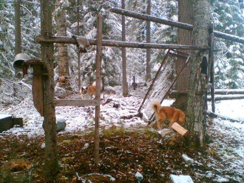 чем бы поживиться на стане?