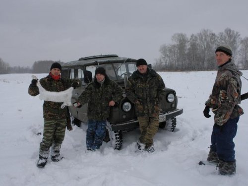 Загнали косого