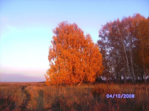Золотая осень