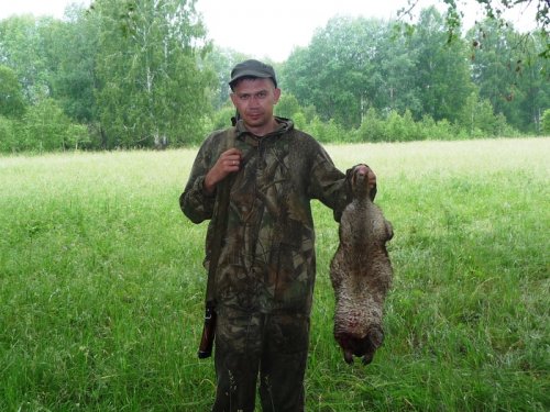 не день сурка